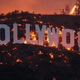 Kolumna Miše Terček: Hollywood v plamenih