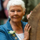 Stiska Judi Dench (Suzy)