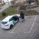 »Ogabno in nehumano«: ženski odvrgli sedem pasjih mladičev in jih pustili umreti (VIDEO)