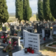 Kolumna Moni Černe: O živih vse lepo