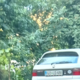 Pogrešajo osebo (40) z območja Ajdovščine, mobilni telefon je bil nazadnje uporabljen v sredo