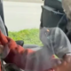 Dramatično reševanje: ujeda s kremplji ranila našo tekmovalko resničnostnega šova (VIDEO)
