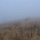 Mati pustila sinova sama v gorah, ker sta »jamrala«, in odšla proti vrhu (FOTO)