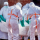 Ebola pri naših sosedih?