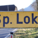 Pogojna za usmrtitev psov, tretjega psa so mu vzeli