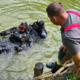 Iskanje pogrešane starejše ženske iz okolice Murske Sobote v Muri ni bilo uspešno (FOTO)