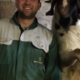 V delovni nesreči na območju Velenja umrl mlad veterinar: »S svojo brezmejno ljubeznijo do živali ...«