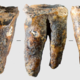 Neandertalci so hodili k zobarju, vrtanje v zob z ostrim kamnitim orodjem je bilo boleče