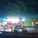 Vozil v napačno smer! Bosanec ubil Štajerko (FOTO)