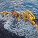 Reševalna akcija med Visom in Korčulo, ribič brez oklevanja skočil v morje (VIDEO)