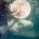 En astrološki znak bo kmalu doživel nekaj povsem nepredvidljivega!