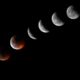 Teden z Luno: Luna v ribah nas bo pomirila, postopoma bo manj misli in bo laže slišati srce