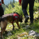 Policija prosi za pomoč! 28-letnica odšla iz UKC Maribor, nato je niso več videli (FOTO)