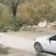 Posnetek, ki para srce! Voznica namerno povozila psa in se odpeljala: »Še enkrat smo kot družba dosegli dno« (VIDEO)