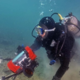 Tudi naše morje vpliva na oceane, že leta ni samo prostor turizma in rekreacije