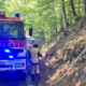 V treh tednih že devet požarov, sumijo, da so bili podtaknjeni: žalski gasilci na robu zmogljivosti (FOTO)