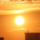 V Sloveniji zabeležili nov absolutni temperaturni rekord