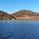 Kolumna Gordane Stojiljković: Jezero
