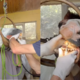 Tudi konji morajo k zobozdravniku: poglejte, kako so Kira, Lora, Viva, Brina in Janja z domačije Vranjek prestale obisk (VIDEO)