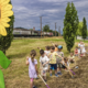 Tanja Rotovnik: Najlepše je bilo, ko so nam ljudje začeli pošiljati fotografije sončnic