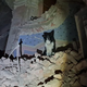 FOTO in VIDEO: Tudi slovenski reševalni psi lahko rešujejo izpod ruševin potresa
