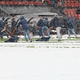 Na tekmi švicarske lige navijači pomagali odmetati sneg z zelenice (VIDEO)