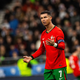 Cristiano Ronaldo postal delni lastnik Almeire