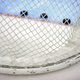 Minnesota in Anaheim v polfinalu, Dallas in Edmonton izpadla