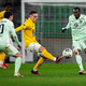 V ŽIVO: Za zaključek sezone ljubljanski derbi v Stožicah