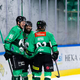 Olimpija ponovno z dobrodelno noto, tokrat bodo pomagali živalim