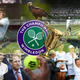Wimbledon za telebane: ultimativni vodič po “sveti” travi