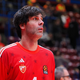 Legenda se vrača: Teodosić znova v Crveni zvezdi