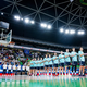 Slovenija misli resno