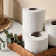 Spoznajte najbolj pameten način za shranjevanje toaletnega papirja