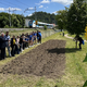 V Sevnici bodo sončnice krasile park, za cvetje poskrbeli tudi v Laškem
