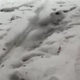 V Italiji toča ustavila promet in pobelila mesta (video)