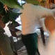 Pod Šmarno Goro ustreljen športnik, šlo naj bi za izsiljevanje (video)