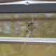 Dravograjski gasilci znova tarča vandalizma: "To je napad na naš trud"