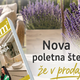 Revija Naš dom razkriva najlepše poletne trende