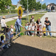 V Kočevju so medovite sončnice sejale kar čebelice