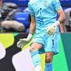 Alireza Beiranvand: Pastir ovac in cestni pometač je postal junak Irana