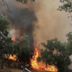 Na Kreti umrla dva gasilca, v Španijo največji požar v zgodovini
