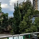 Veter rušil vse pred sabo: Skopje prizadelo neurje, več ljudi poškodovanih
