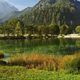 Po poginu dveh psov je občina izdala opozorilo za jezero Jasna