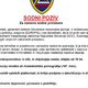 Sodni poziv direktorja policije? Če odgovorite, lahko ostanete brez denarja