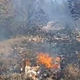 Ognjena stihija na Braču: po več dneh boja končno spodbudne novice