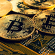 Leto bitcoina, kriptovalut in blockchain tehnologije