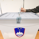 Profesor Hafner Fink: Volivci bodo na referendumih glasovali različno