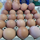 Cene na mariborski tržnici: Koliko stanejo jajca
