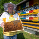 (FOTO) Čebelarstvo Čanč iz Velenja: Čebelar ne more nadomestiti snovi, ki jih čebelam daje narava